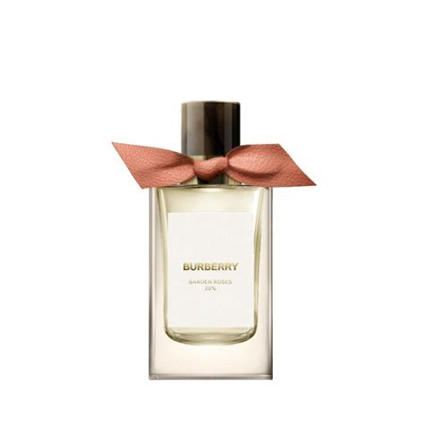 burberry pink rosewood|Burberry signatures roses.